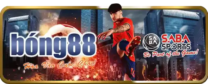 Minh họa lợi ích của BK8 Code